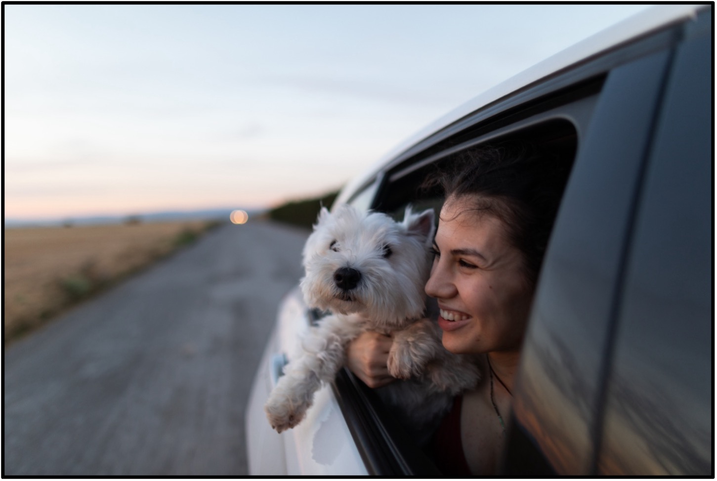 Paws and Play: Unleash the Adventure!