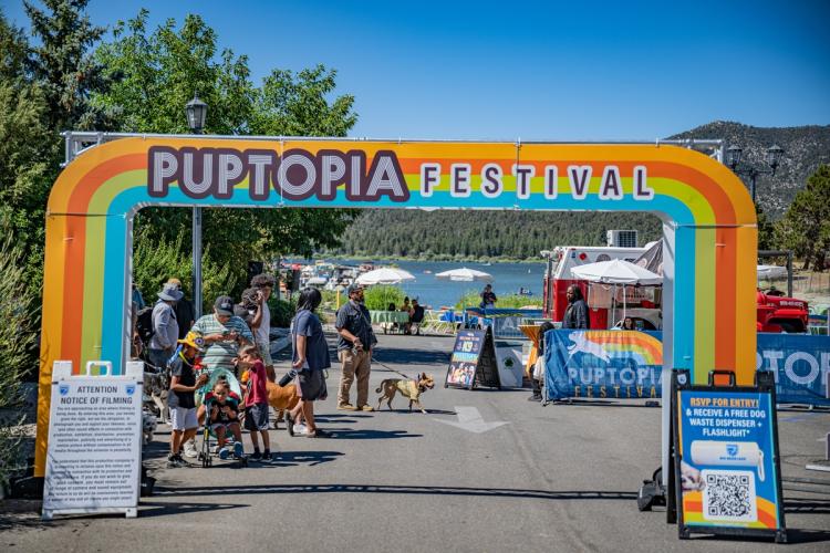 Puptopia Big Bear Lake
